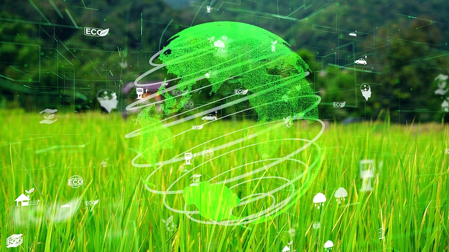 grassy background with a green globe surrounded by ecology icons